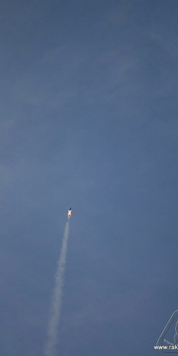 2012 Svojek mirek patek